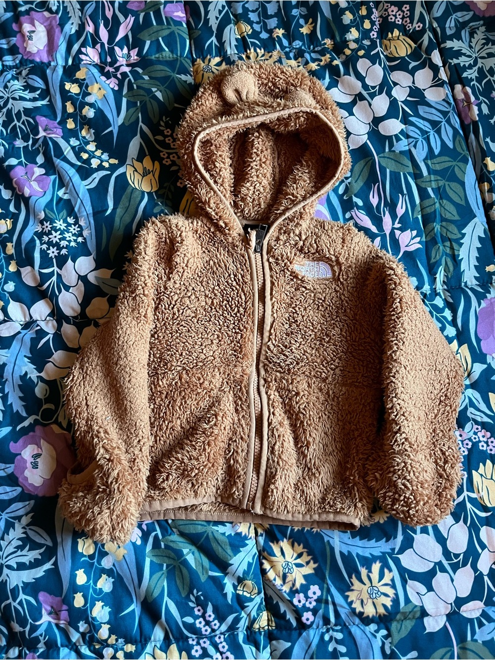 The North Face Kids' Teddy Fleece Hoodie in Camel Brown Size 18-24 Months